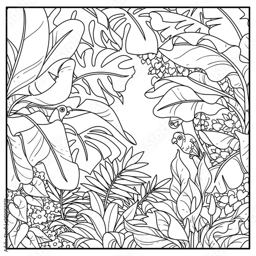 Download "Wild jungle with parrots of the breed rosy-cheeked lovers ...