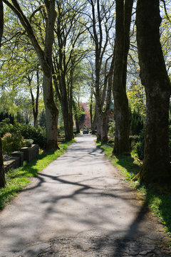 Hauptweg über den Friedhof 