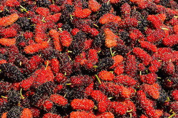 Red and black mulberry