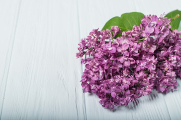 Spring flowers. Lilac flowers on white wooden background. Top view, flat lay
