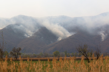 wildfire in the mountains