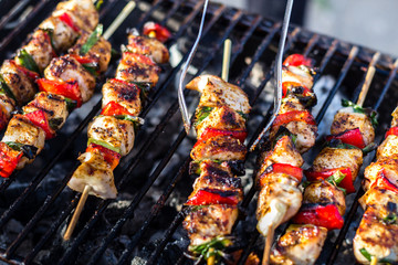 Close up pf delicious chicken breast on wooden skew with fresh vegetables, garlic, paprika fried on mangal barbeque grill