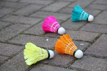 Colorful Feather Badminton Shuttlecocks