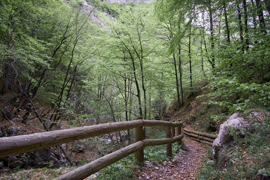 Craggy Gardens Appalachian Hiking Trail Fog Blue Ridge Parkway Near Asheville NC In Western North Carolina