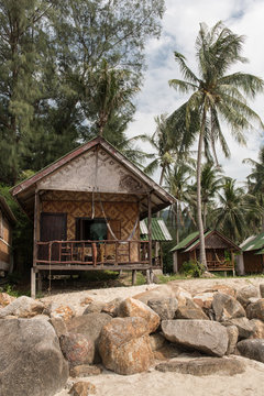 Palms and small houses