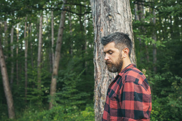 Naklejka na ściany i meble Thoughtful bearded man in lumberjack shirt alone in forest or park. Handsome hiker enjoying nature on his own. Active lifestyle, traveling and solitude concepts