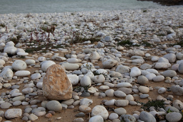 Pebble beach. Background of pebbles. Pebbles on the beach.