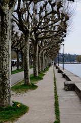 promenade