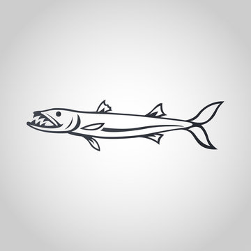 fish barracuda logo,vector illustration
