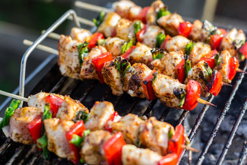 Close up pf delicious chicken breast on wooden skew with fresh vegetables, garlic, paprika fried on mangal barbeque grill
