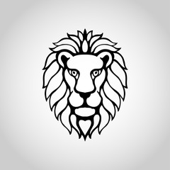 lion isolated on white background, Vector illustration.