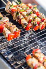 Close up pf delicious chicken breast on wooden skew with fresh vegetables, garlic, paprika fried on mangal barbeque grill