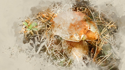 Porcini in the grass close up. Watercolor background