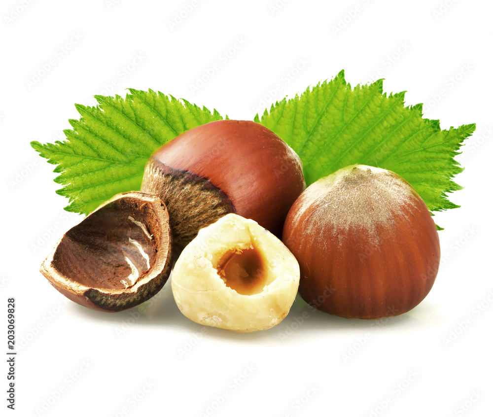 Wall mural Hazelnuts with leaves isolated on white