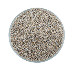 Pearl Millet Seeds Also Know as Bajra, Bajri, Bulrush Millet or Indian Millet Isolated on White Background