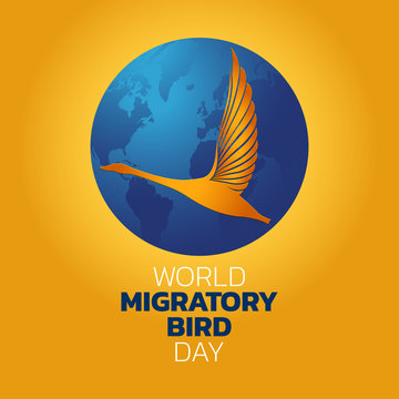 World Migratory Bird Day, vector illustration