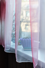 Transparent pink curtain on window