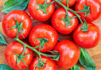 Tomatoes with water drops 2