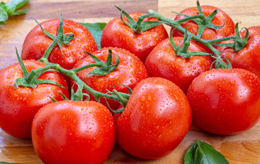 Tomatoes with water drops 4