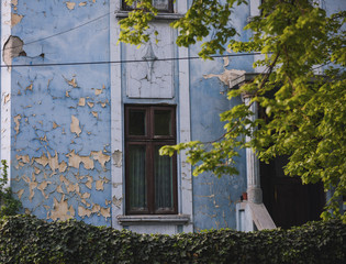 Old building placed in a historic neighborhood of Bucharest, covered with vegetation.