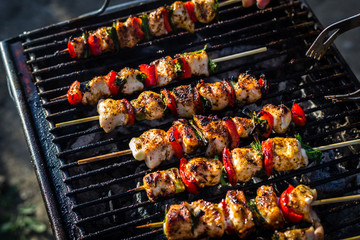 Close up pf delicious chicken breast on wooden skew with fresh vegetables, garlic, paprika fried on mangal barbeque grill