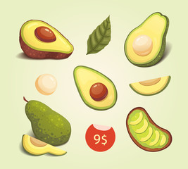 Set realistic fresh avocado fruit. Slice and whole avocados. Vegan food vector illustration in cartoon style.