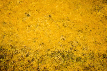 Texture abstraction of water and algae at the bottom of a drained pond.