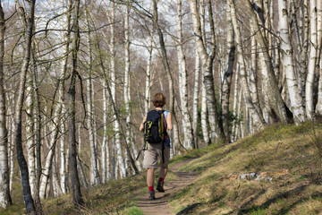 Obraz premium Woman hiking in the forest, one person walking in woodland, backpacking summer adventure travel, rear view, toned image
