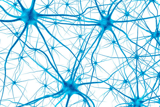 Brain cell. 3D render