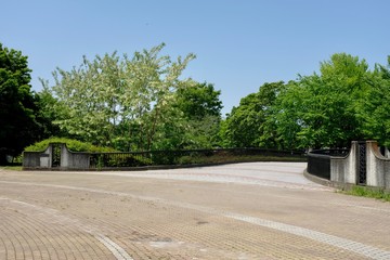 新緑の公園