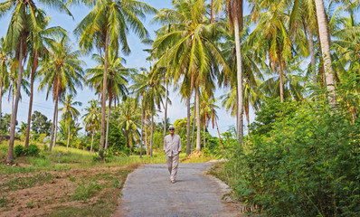 Obraz premium A man walking along the road in palm forest