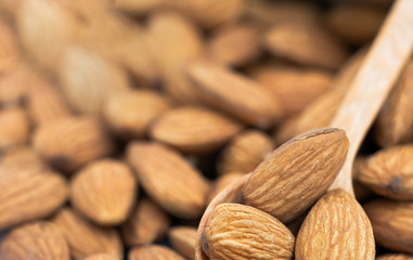 Almond seeds group in a wooden spoon