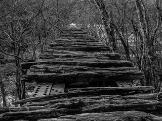 荒れ果てた鉄橋