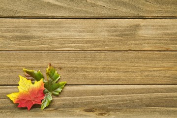Horizontal rustic wood planks and autumn leaves background with good studio lighting.