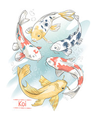 Set of colorful hand drawn koi