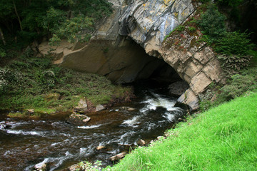 entrée de la grotte dans la réserve naturelle de han-sur-lesse en ardennes en belgique