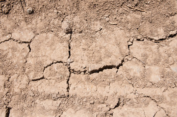 Fototapeta premium Dry, cracked soil at springtime, without rain agricultural land dries.