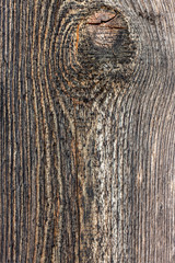 Surface of old wood eroded by time. Close-Up