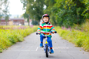 Little cute kid boy on bicycle on summer or autmn day. Healthy happy child having fun with cycling on bike.