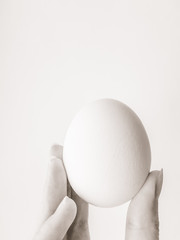 Fototapeta na wymiar the egg in hand