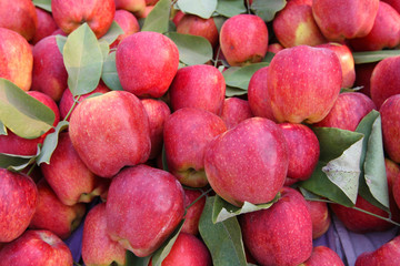Red Apples on Market Stall