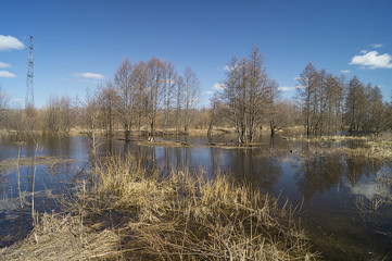 Obraz premium Spring landscape in rural terrain