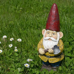 Obraz premium Gartenzwerg mit rotem Hut , gelber Jacke und einer Axt in der Hand. Er steht auf einer grünen Wiese mit Gänseblümchen. 