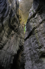 torrent