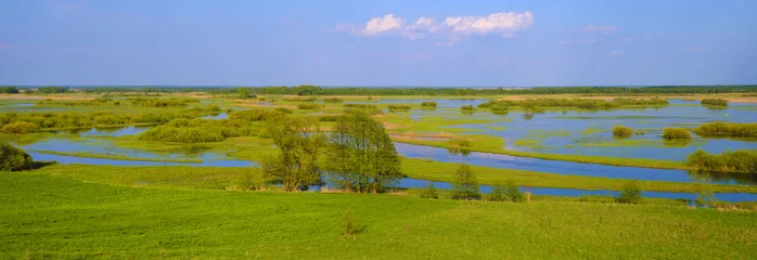Foto op Plexiglas Panoramic view of wetlands covered with early spring green grass and woods in Biebrza River wildlife refuge in north-eastern Poland. © Art Media Factory