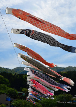 鯉のぼり