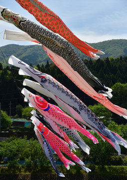 鯉のぼり