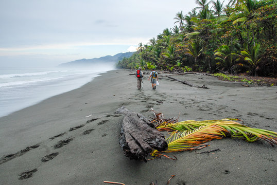 In the early morning, two hikers take the way to Corcovado on the black sand beach of the Osa peninsula in Costa Rica.