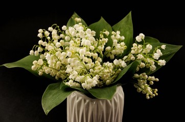 Bouquet of lilies of the valley in the white  vase  on a black background