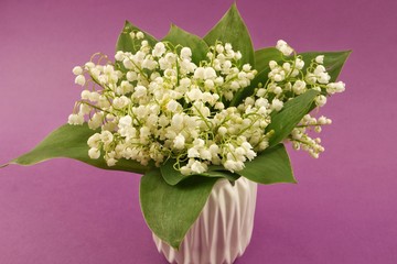 Bouquet of lilies of the valley in the white vase on a lilac background

